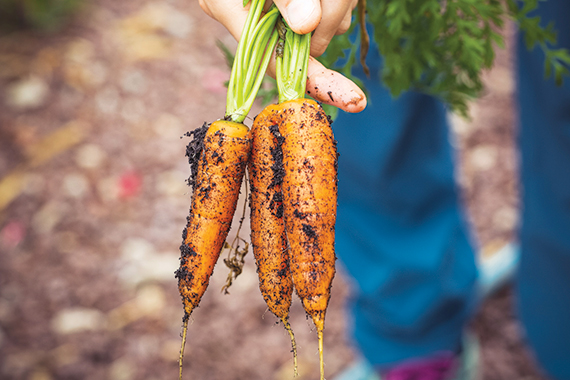 Community Garden